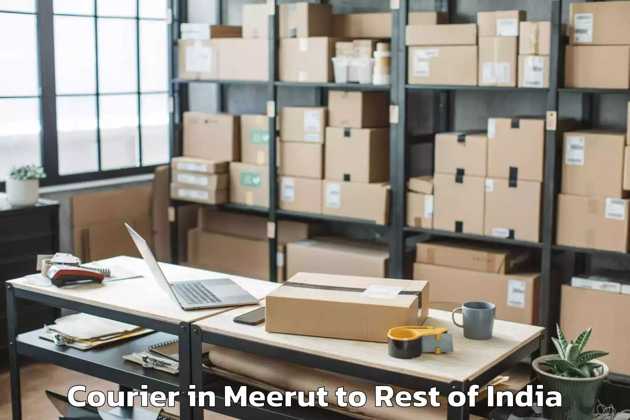 Book Your Meerut to Alampur P Courier Today